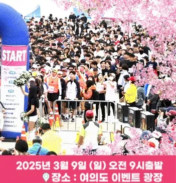 2025 여의도 벚꽃 마라톤 대회 일정 | 코스 | 참가 신청안내