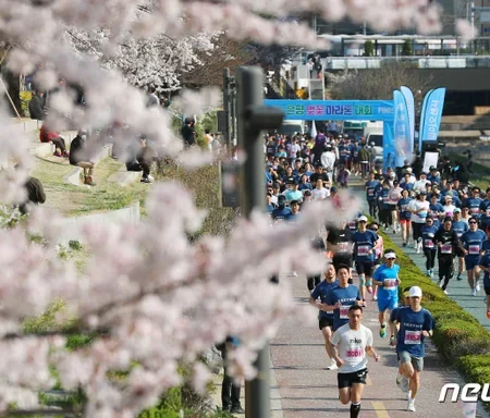 2025 한강 벚꽃 마라톤 일정 | 코스 | 참가 신청안내