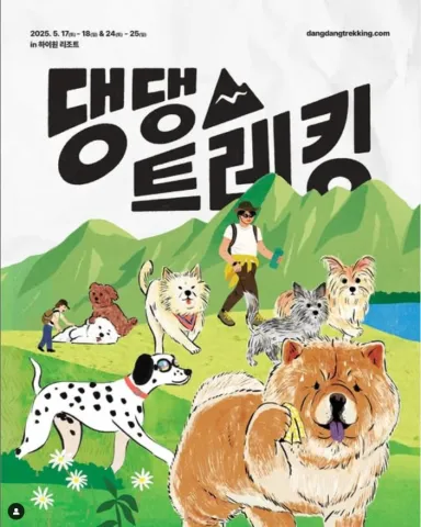 2025 댕댕트래킹 접수 코스 일정 안내
