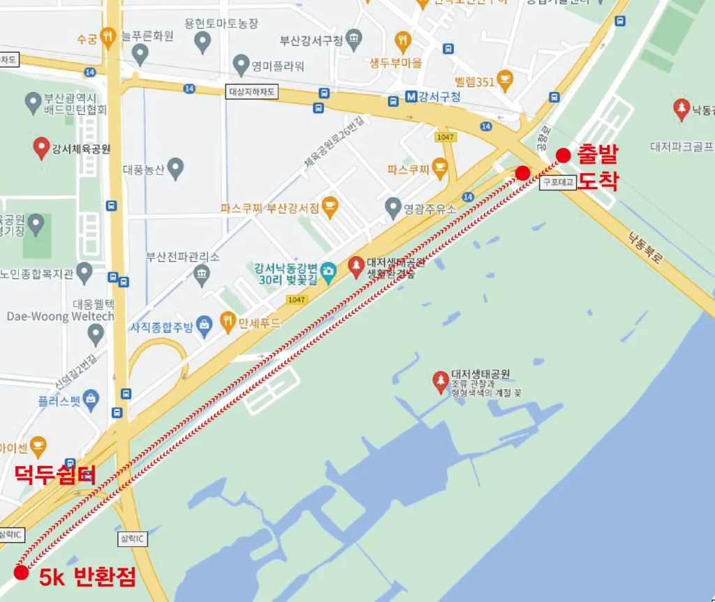 2025 부산 마라톤 10km 코스