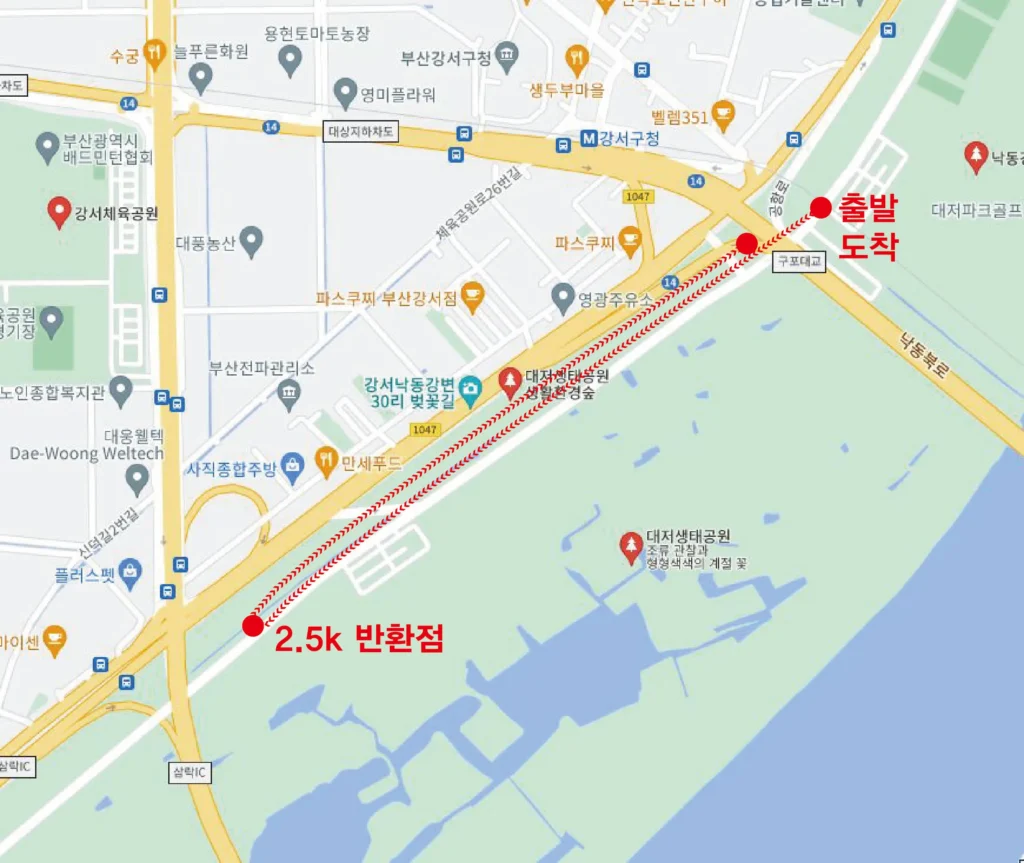 2025 부산 마라톤 5km 코스