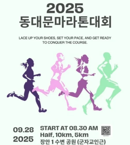 2025 동대문 마라톤 접수 코스 일정 안내