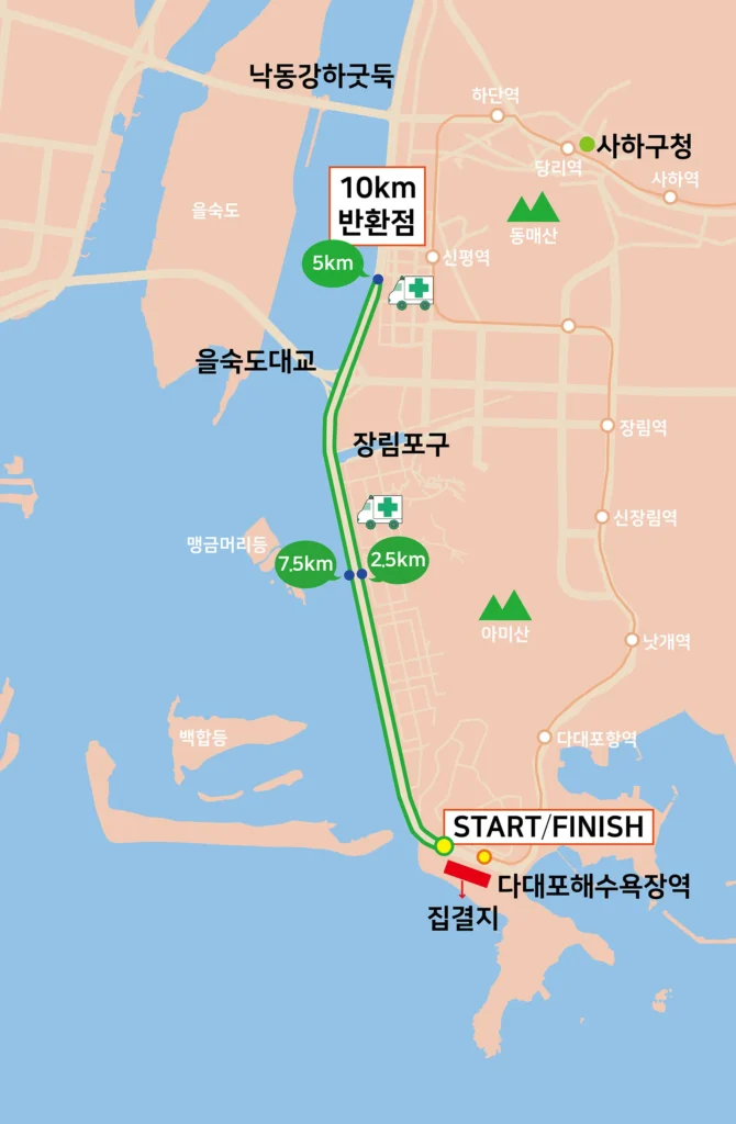 2025 국제신문 부산마라톤 10km 코스