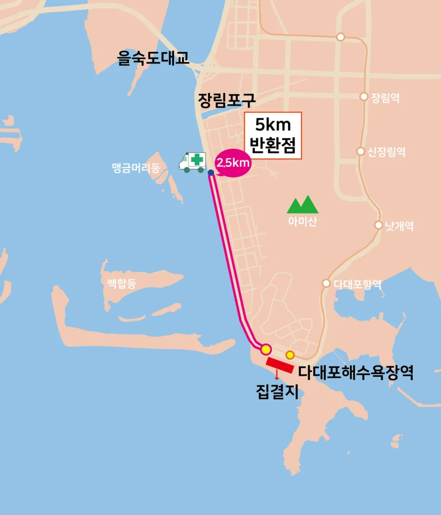 2025 국제신문 부산마라톤 5km 코스