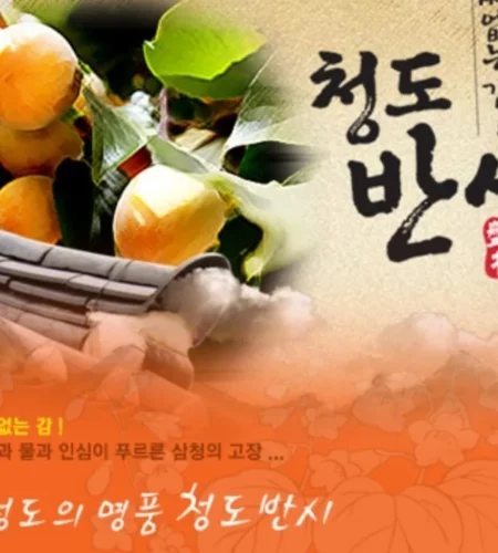 2025 청도 반시 마라톤 접수 코스 일정 안내