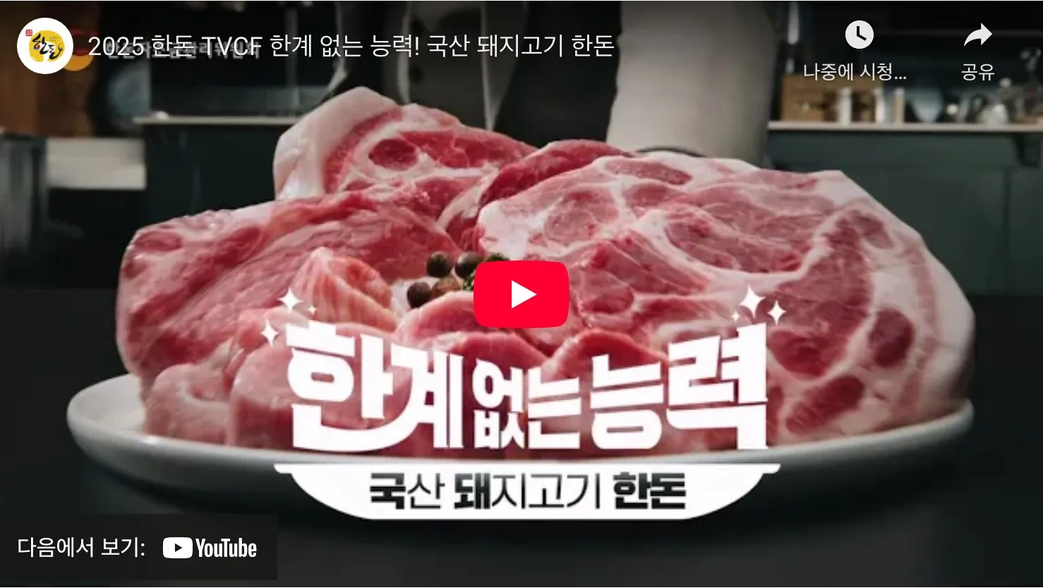 한돈런 2025 유튜브