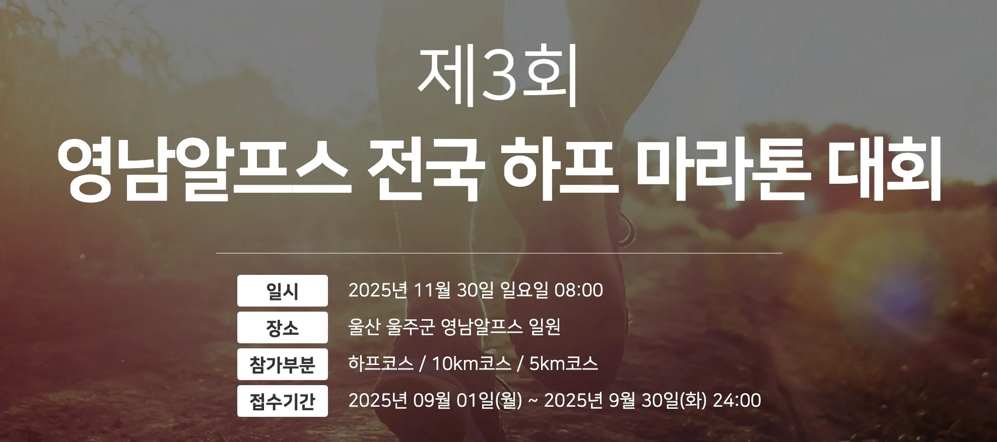 youngnam marathon 2025