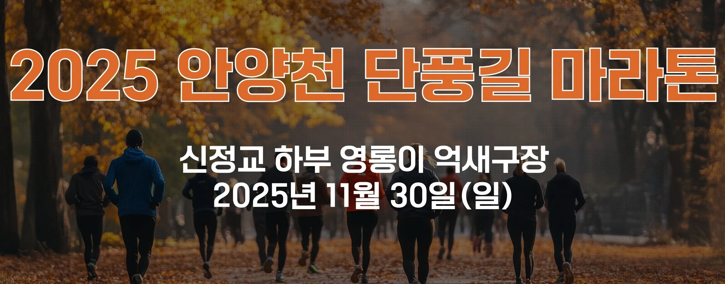 anyangcheon maple run