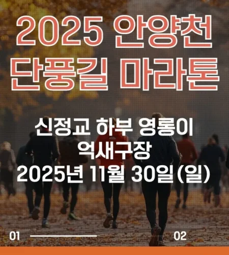 안양천단풍길마라톤 2025 접수 신청 코스 일정 안내