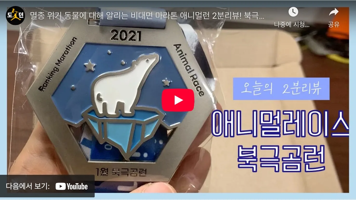 애니멀런 2025 유튜브